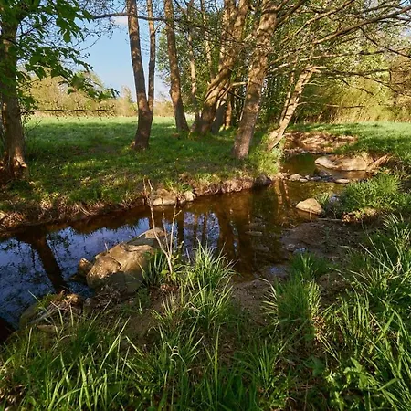 Lodge Marel-apartments Duna Lux Zdroj Polanica-Zdrój